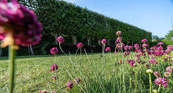 Showtuin Weijer Tuinen Assen