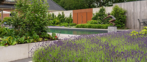 Het heerlijke zwembad is de basis van de aanleg van de rest van de tuin met o.a. mooie Lavendel en andere planten.